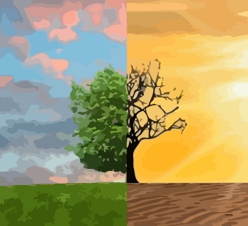 The Climate Crisis is the name for what is happening to our planet after over 100 years of steadily
increasing fossil fuel emissions